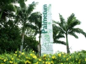 Townsville Palmetum - Accommodation Batemans Bay 0