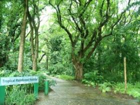 Townsville Palmetum - Accommodation Batemans Bay 1