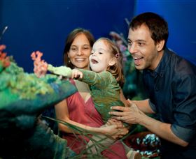 Museum Of Tropical Queensland - Accommodation Batemans Bay 2