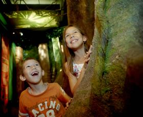 Museum Of Tropical Queensland - Accommodation Batemans Bay 1