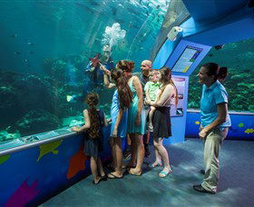 Reef HQ Aquarium - Accommodation Batemans Bay 2