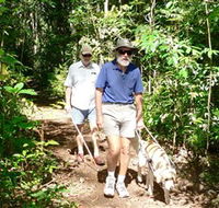 Wongabel State Forest - Accommodation Batemans Bay