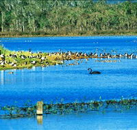 Hasties Swamp National Park - Accommodation Batemans Bay