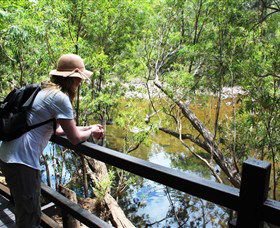 Mount Elliot, Bowling Green Bay National Park - Accommodation Batemans Bay 1
