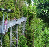 Mamu Tropical Skywalk - Accommodation Batemans Bay