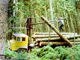 Nangwarry Forestry And Logging Museum - Accommodation Batemans Bay 3
