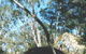 Dergholm State Park - thumb 0