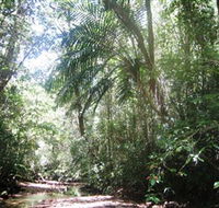 Mount Lewis National Park - Accommodation Batemans Bay