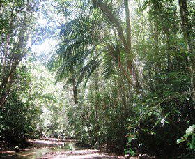 Mount Lewis National Park - Accommodation Batemans Bay 0