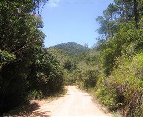 Mount Lewis National Park - Accommodation Batemans Bay 2