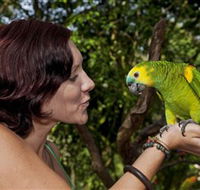 Birdworld Kuranda - Accommodation Batemans Bay