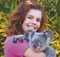 Kuranda Koala Gardens - Accommodation Batemans Bay