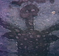 Quinkan Reserves Ancient Rock Art - Accommodation Batemans Bay