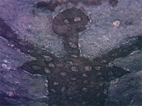 Quinkan Reserves Ancient Rock Art - Accommodation Batemans Bay 0