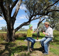 Restdown Wines and Walking Trail - Accommodation Batemans Bay