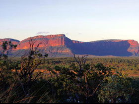 Blackdown Tableland National Park - Accommodation Batemans Bay 0