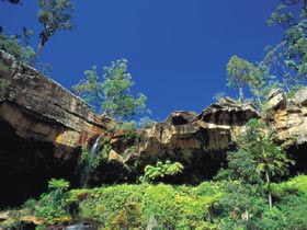 Blackdown Tableland National Park - Accommodation Batemans Bay 1