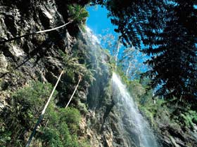 Blackdown Tableland National Park - Accommodation Batemans Bay 2