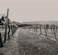Halls Gap Estate - Accommodation Batemans Bay