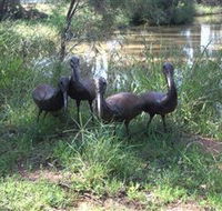 East Tolans Farm Tour - Accommodation Batemans Bay