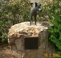 Dingo Statue - Accommodation Batemans Bay