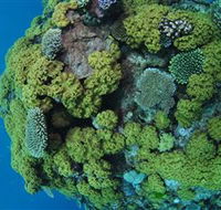 Keeper Reef Dive Site - Accommodation Batemans Bay