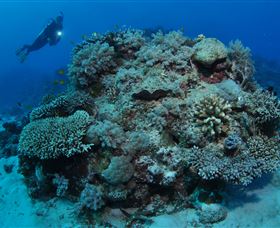 Keeper Reef Dive Site - Accommodation Batemans Bay 1