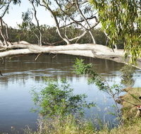 Murray Valley National Park - Accommodation Batemans Bay