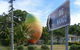 Big Mango - thumb 0