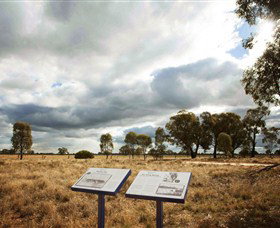 Backroads Trail - Accommodation Batemans Bay 2