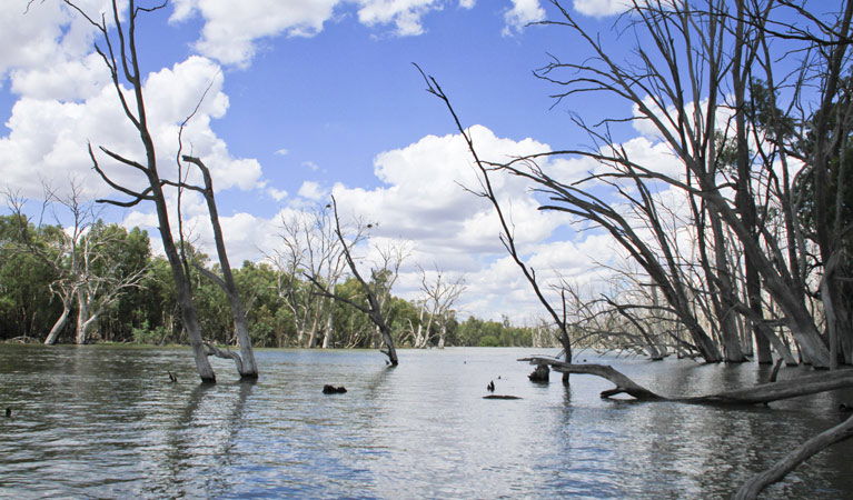 Morundah NSW Accommodation Batemans Bay