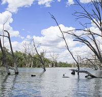 Murrumbidgee Valley National Park - Accommodation Batemans Bay