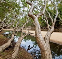 Oyala Thumotang National Park CYPAL - Accommodation Batemans Bay