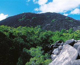 Black Mountain (Kalkajaka) National Park - Accommodation Batemans Bay 0