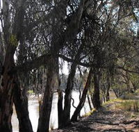 Mia Forest Drives Narrandera - Accommodation Batemans Bay