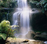 Mount Buangor State Park - Accommodation Batemans Bay