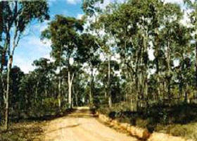 Paddys Ranges State Park - Accommodation Batemans Bay 0