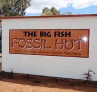 Big Fish Fossil Hut at Peak Hill - Accommodation Batemans Bay