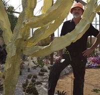 Cactus Country - Accommodation Batemans Bay