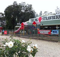 The Big Strawberry - Accommodation Batemans Bay