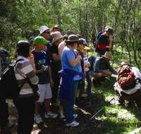 Warrumbungle National Park Discovery Program - Accommodation Batemans Bay