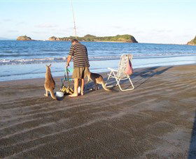 Homebush QLD Accommodation Batemans Bay