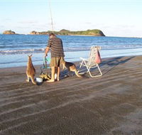 Cape Hillsborough National Park - Accommodation Batemans Bay