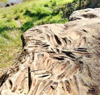 Terramungamine Rock Grooves - Accommodation Batemans Bay