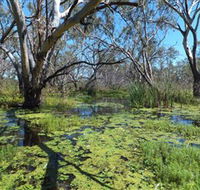 Macquarie Valley Trails - Accommodation Batemans Bay