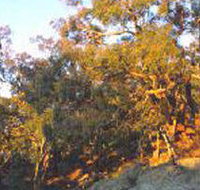 Mount Alexander Regional Park - Accommodation Batemans Bay