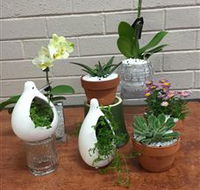 Cobram Florist - Accommodation Batemans Bay