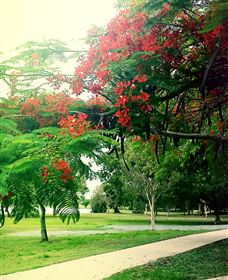 Gooseponds, North Mackay - Accommodation Batemans Bay 1