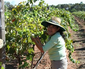 Domaine Asmara - Accommodation Batemans Bay 6