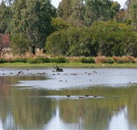 Cussen Park - Accommodation Batemans Bay